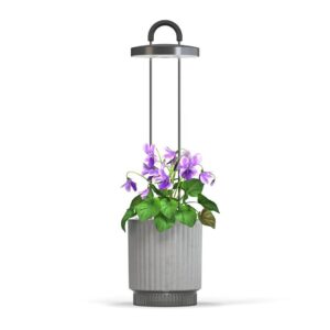Click and Grow HydroVase - Grå